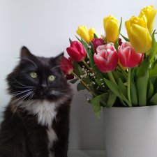 С праздником весны!