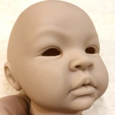 Молд Shayan 12-го года. Прошу помощи мастеров