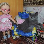 Тимошкины фотосессии.