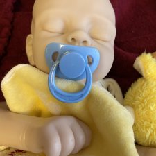 Молд реборн