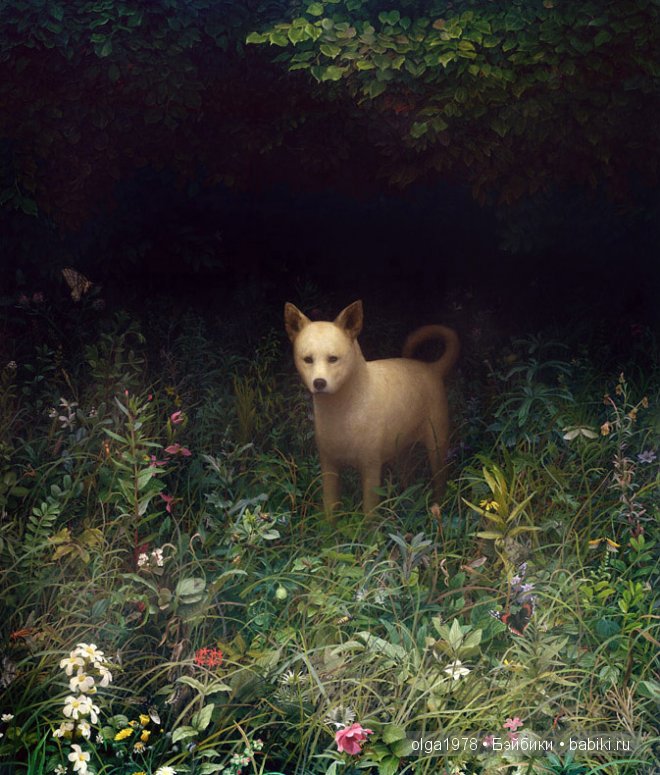 Лики одиночества Арона Вайзенфелда