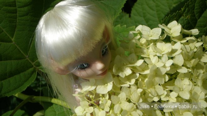 BJD, Studio Milim BJD, Studio Milim