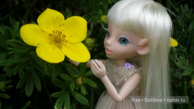 BJD, Studio Milim BJD, Studio Milim