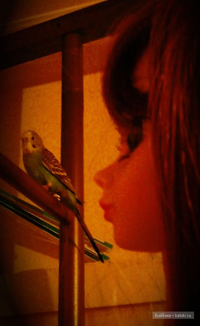 Моя любимая Леля — Куклы Звезды подиума (Angel Collection): шарнирные