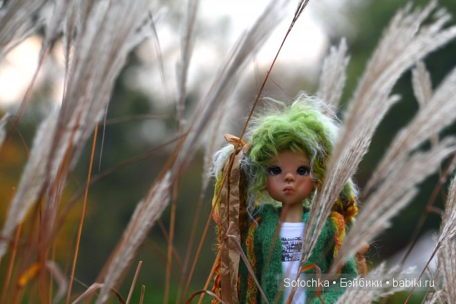 Моя прекрасная Роми. Долгожданная Лайла от Kaye Wiggs