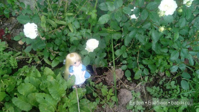 Отдых на даче. Куклы тоже отдыхают