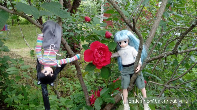 Отдых на даче. Куклы тоже отдыхают