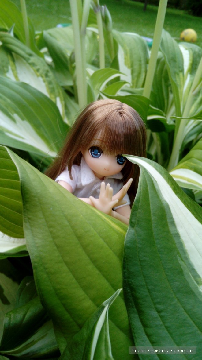 Отдых на даче. Куклы тоже отдыхают