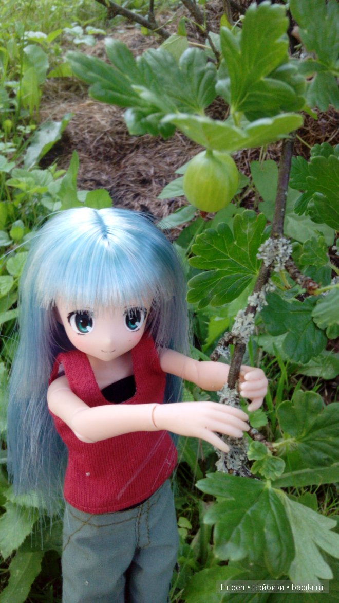 Отдых на даче. Куклы тоже отдыхают