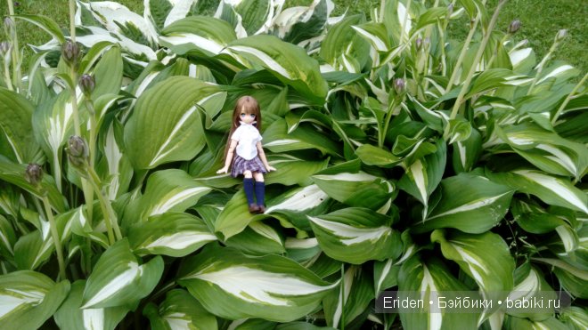 Отдых на даче. Куклы тоже отдыхают