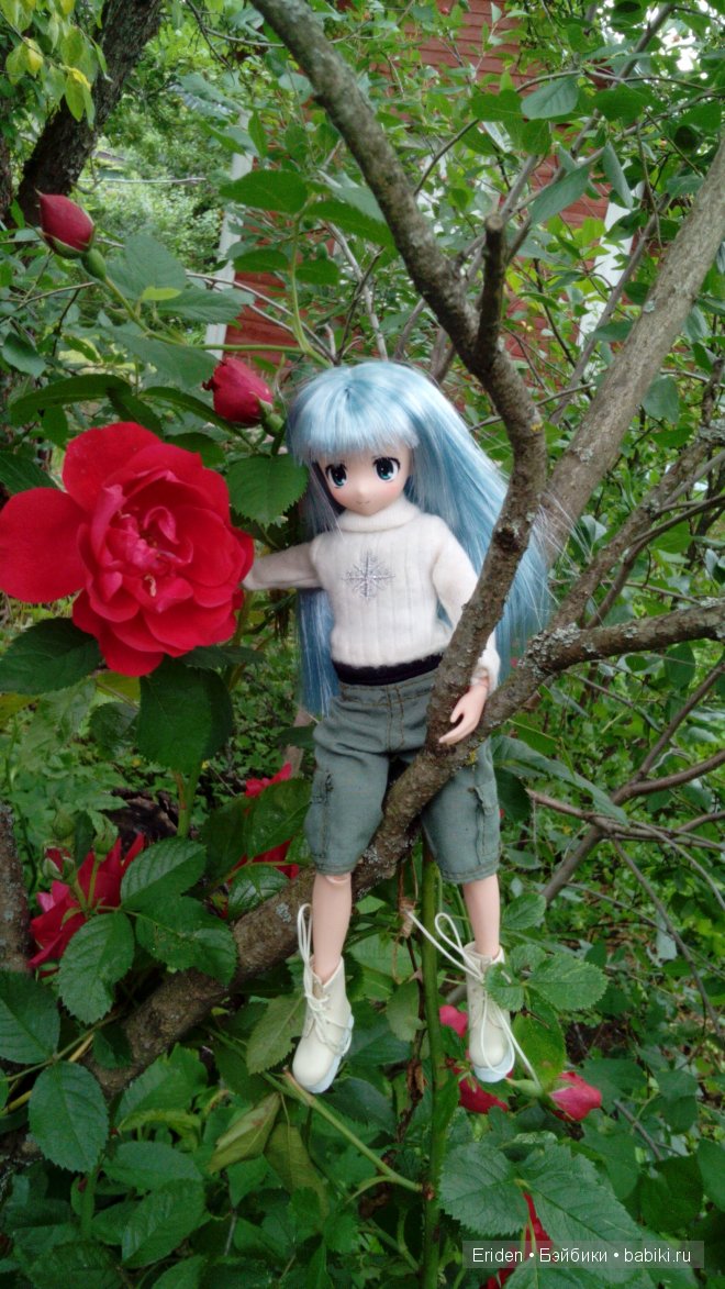 Отдых на даче. Куклы тоже отдыхают