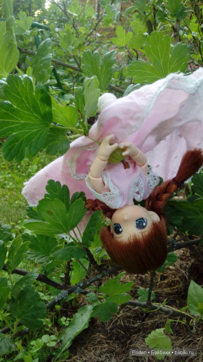 Отдых на даче. Куклы тоже отдыхают