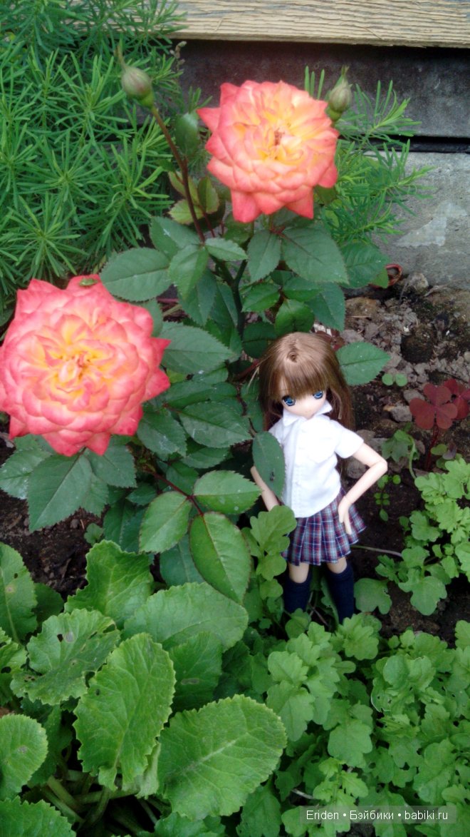 Отдых на даче. Куклы тоже отдыхают