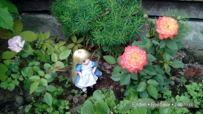 Отдых на даче. Куклы тоже отдыхают