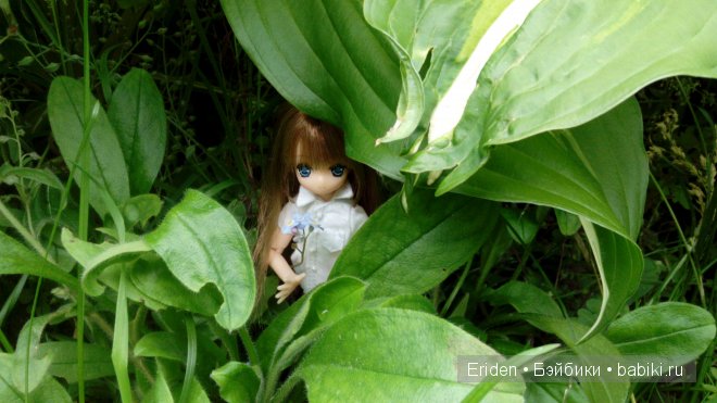 Отдых на даче. Куклы тоже отдыхают