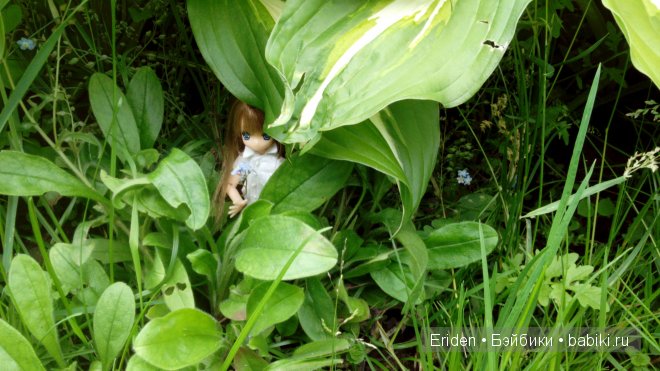 Отдых на даче. Куклы тоже отдыхают