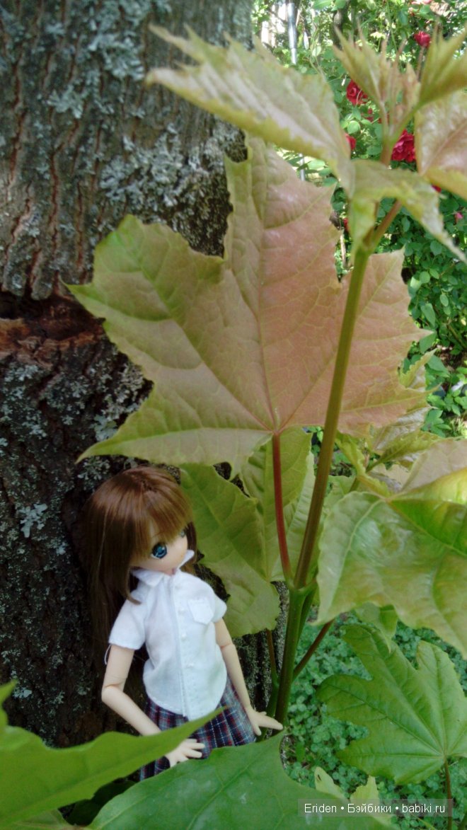 Отдых на даче. Куклы тоже отдыхают