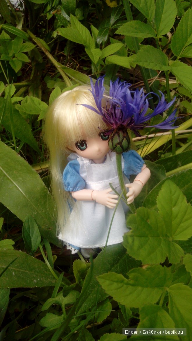 Отдых на даче. Куклы тоже отдыхают