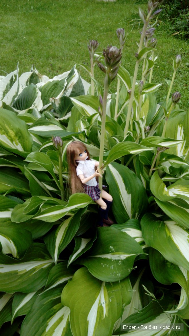 Отдых на даче. Куклы тоже отдыхают