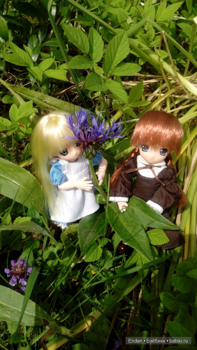 Отдых на даче. Куклы тоже отдыхают