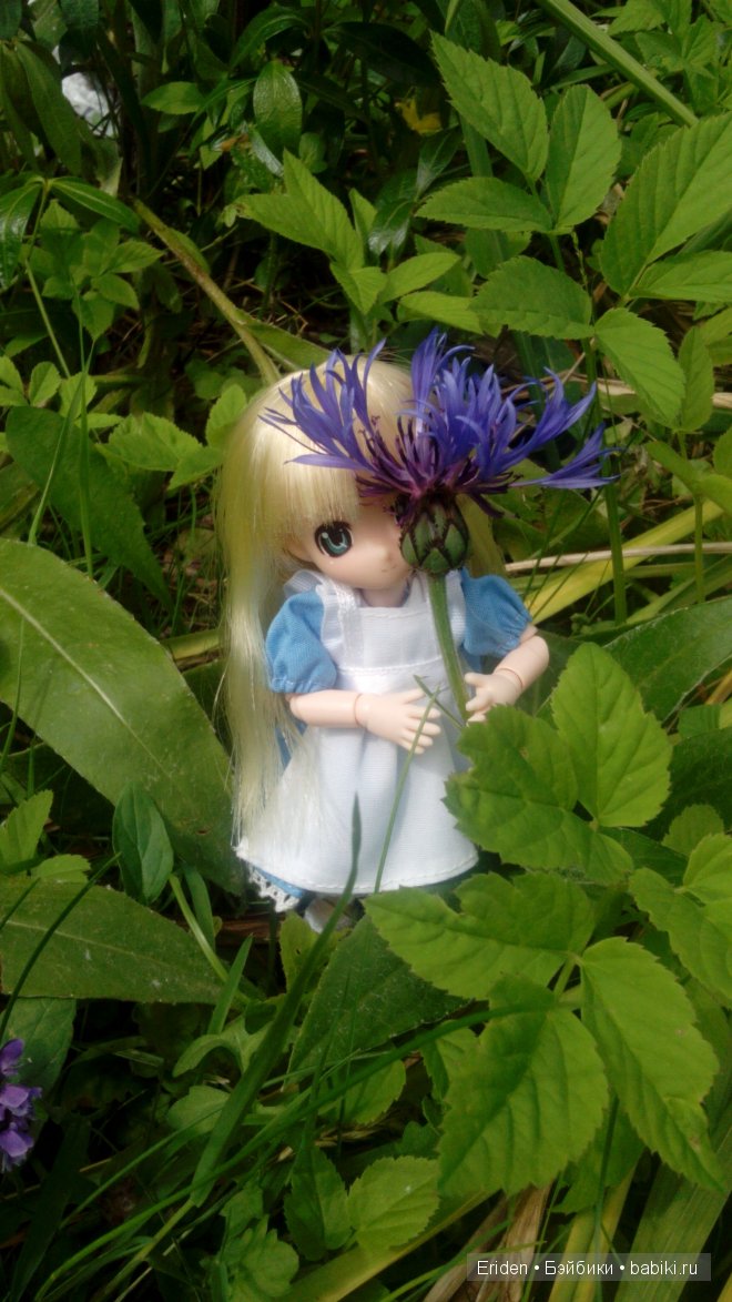 Отдых на даче. Куклы тоже отдыхают