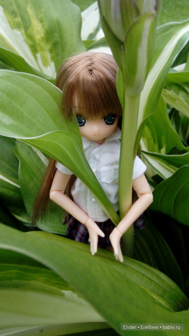 Отдых на даче. Куклы тоже отдыхают