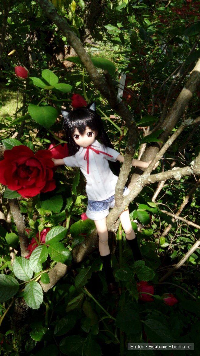 Отдых на даче. Куклы тоже отдыхают