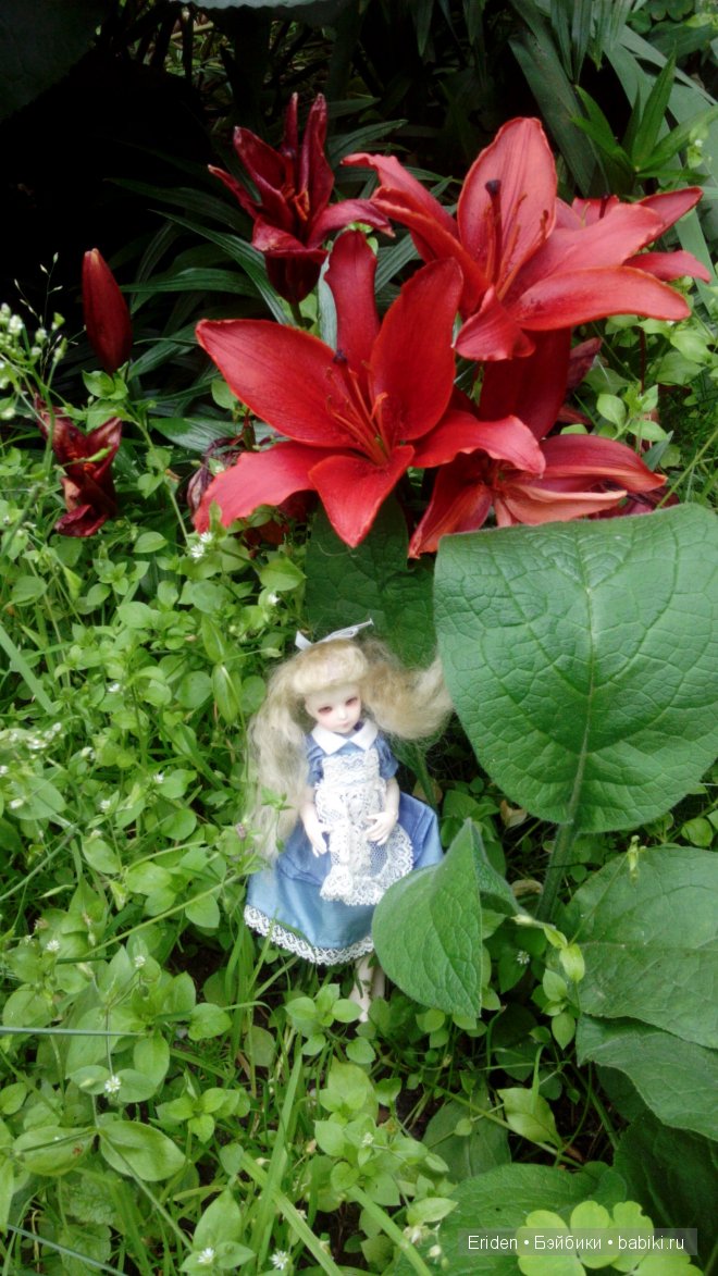 Прогулка по клумбам — Куклы J