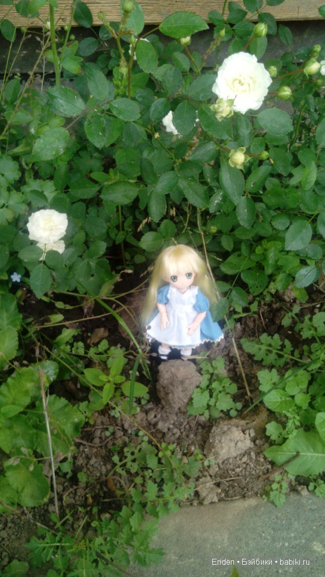 Отдых на даче. Куклы тоже отдыхают