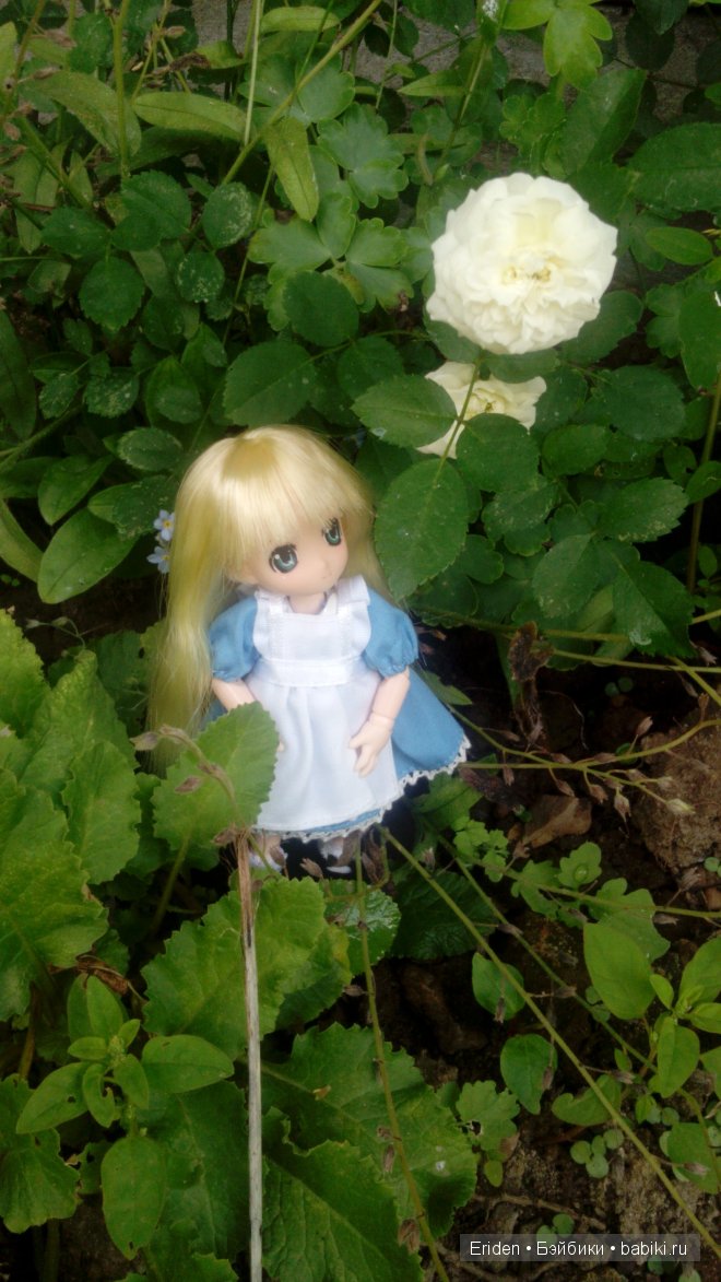 Отдых на даче. Куклы тоже отдыхают