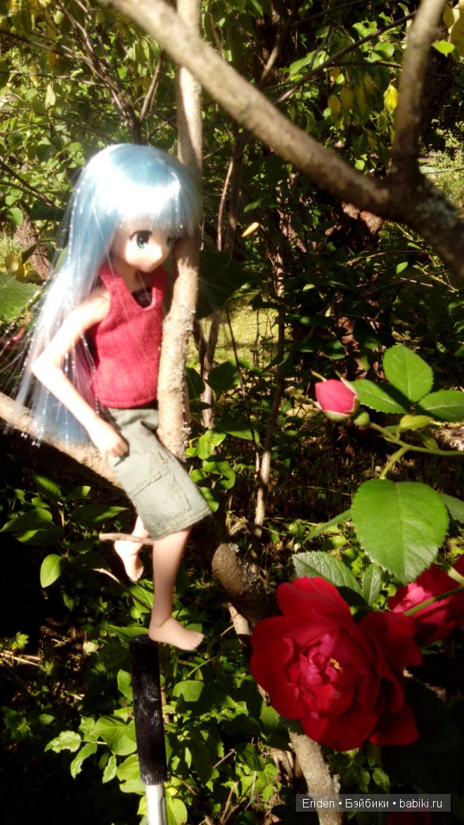 Отдых на даче. Куклы тоже отдыхают