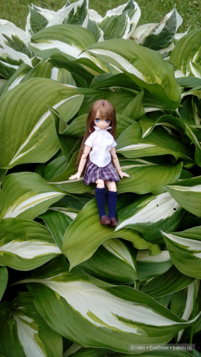 Отдых на даче. Куклы тоже отдыхают