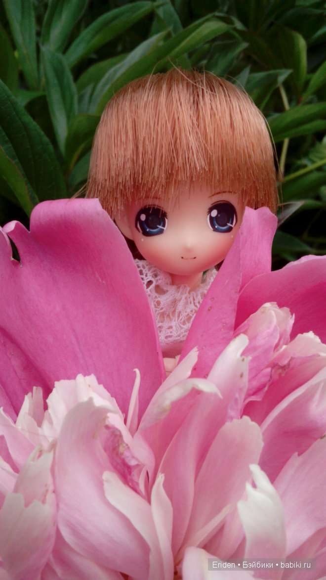 Отдых на даче. Куклы тоже отдыхают