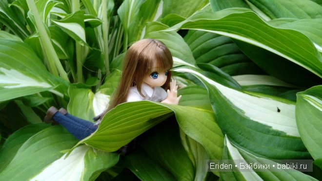 Отдых на даче. Куклы тоже отдыхают