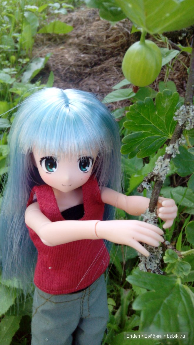 Отдых на даче. Куклы тоже отдыхают