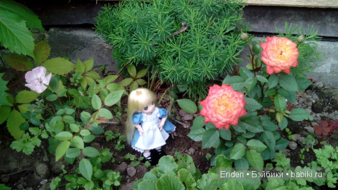 Отдых на даче. Куклы тоже отдыхают