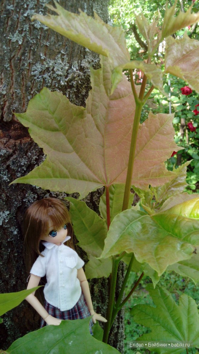 Отдых на даче. Куклы тоже отдыхают