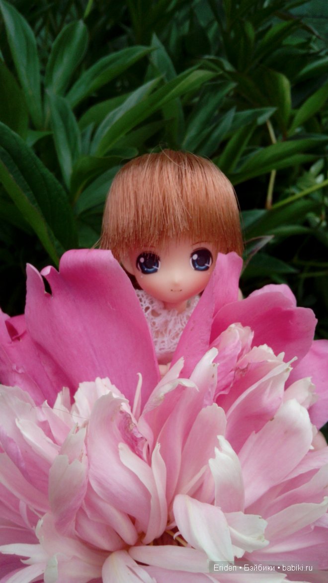 Отдых на даче. Куклы тоже отдыхают