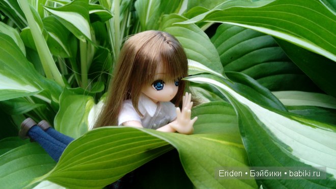 Отдых на даче. Куклы тоже отдыхают