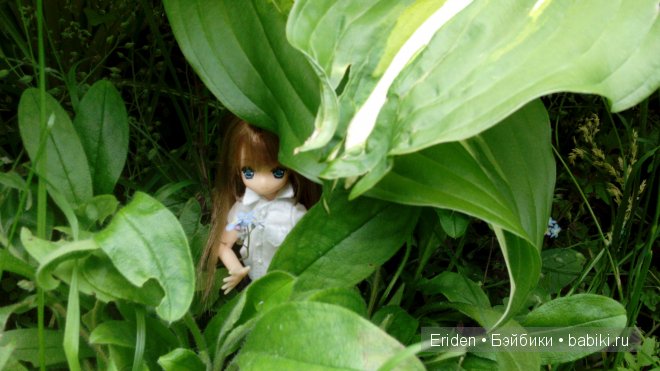 Отдых на даче. Куклы тоже отдыхают