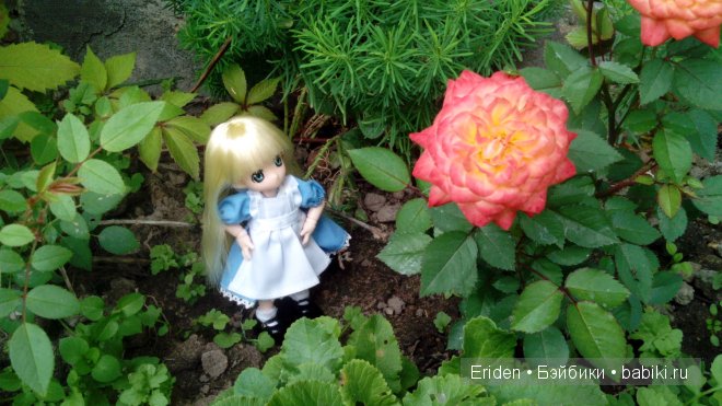 Отдых на даче. Куклы тоже отдыхают