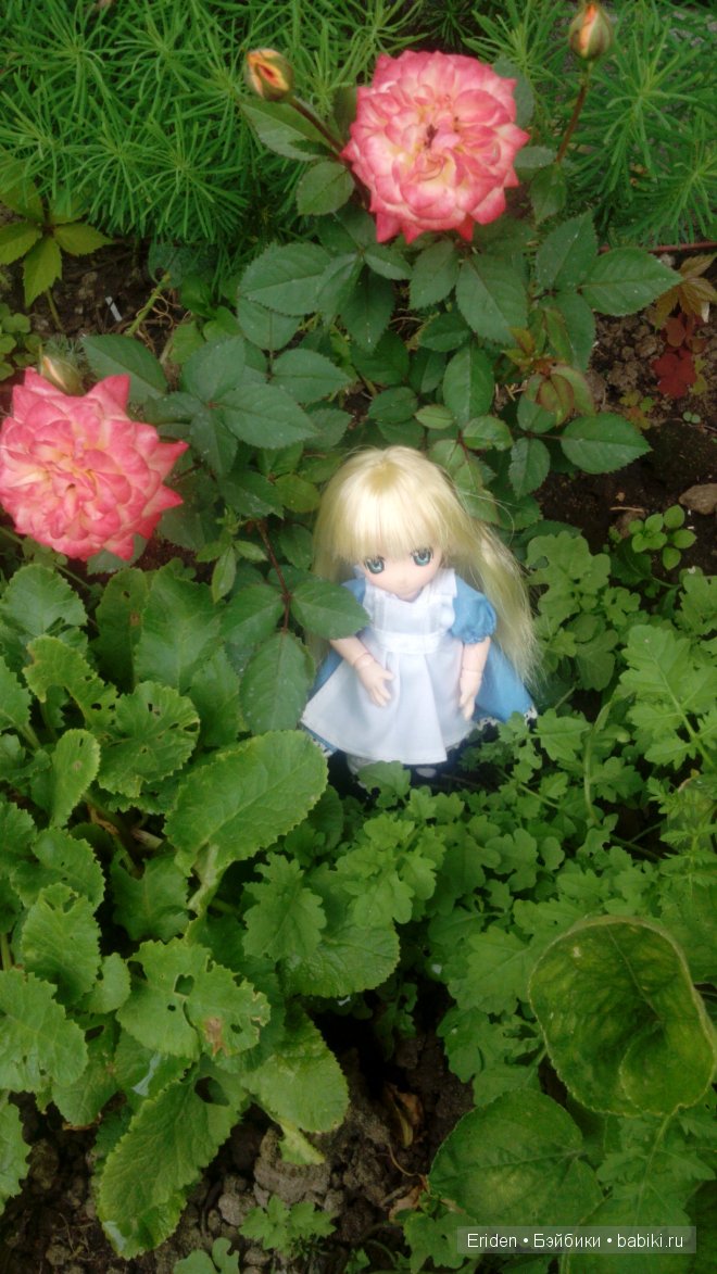 Отдых на даче. Куклы тоже отдыхают