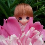 Отдых на даче. Куклы тоже отдыхают