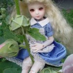 Прогулка по клумбам