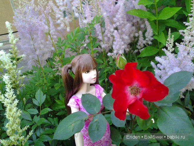 Ах, лето, лето, лето — Домашние коллекции кукол: фото собраний (фото 4)