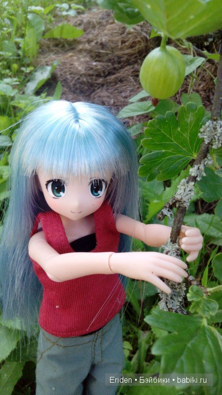 Моя коллекция Azone — Куклы Azone (Азон) и тела Pure Neemo: фото (фото 10)
