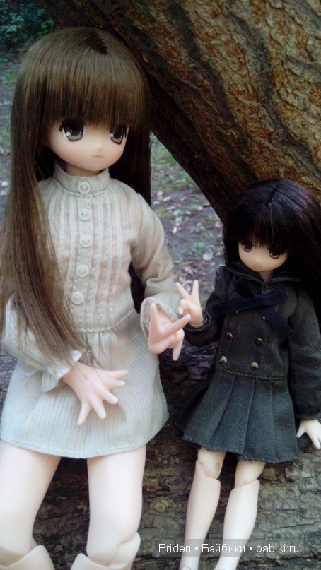 Моя коллекция Azone — Куклы Azone (Азон) и тела Pure Neemo: фото