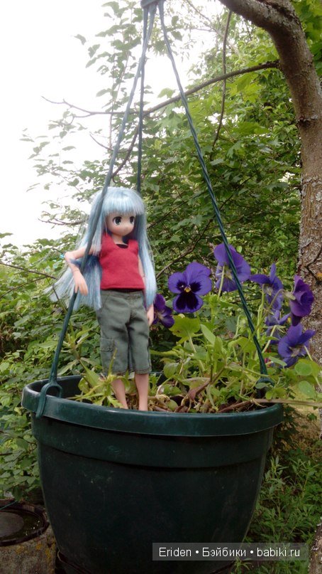 Моя коллекция Azone — Куклы Azone (Азон) и тела Pure Neemo: фото