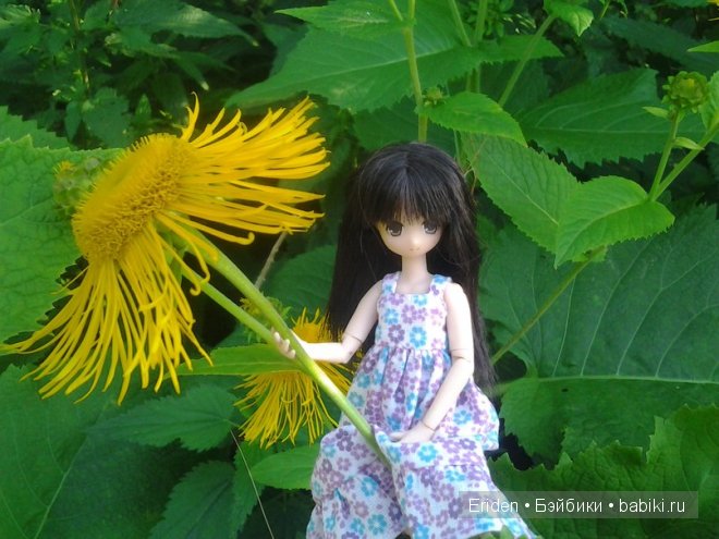 Моя коллекция Azone — Куклы Azone (Азон) и тела Pure Neemo: фото
