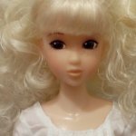 Полная перепись